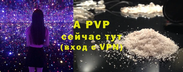винт Алексин